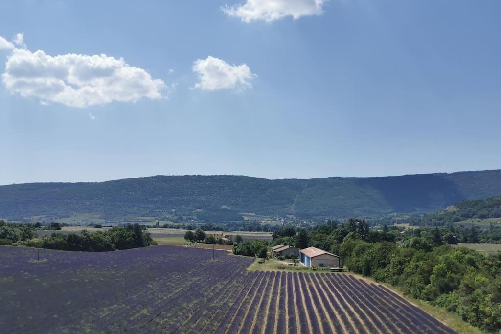 La Petite Reine Du Ventoux Villa Sault-de-Vaucluse Dış mekan fotoğraf